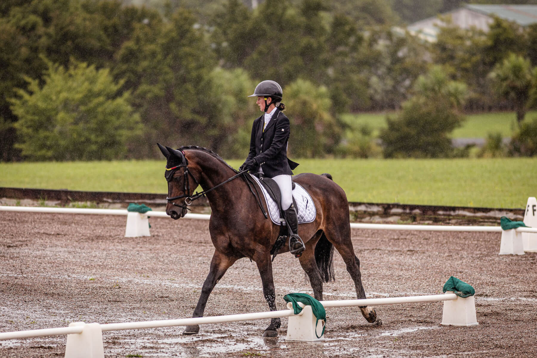 Annabella relies on Riley | King Country News