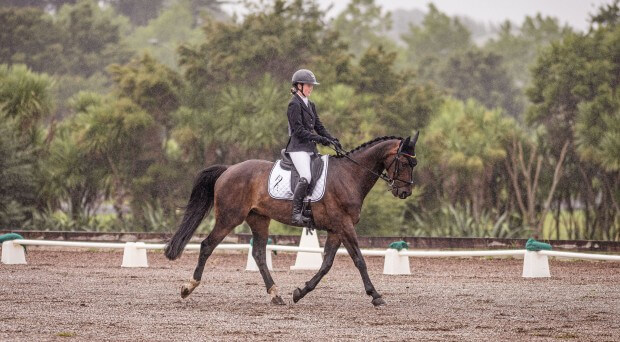 Annabella relies on Riley | King Country News
